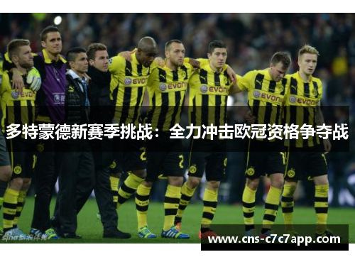 多特蒙德新赛季挑战：全力冲击欧冠资格争夺战